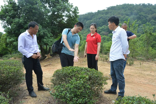 圖片關鍵詞